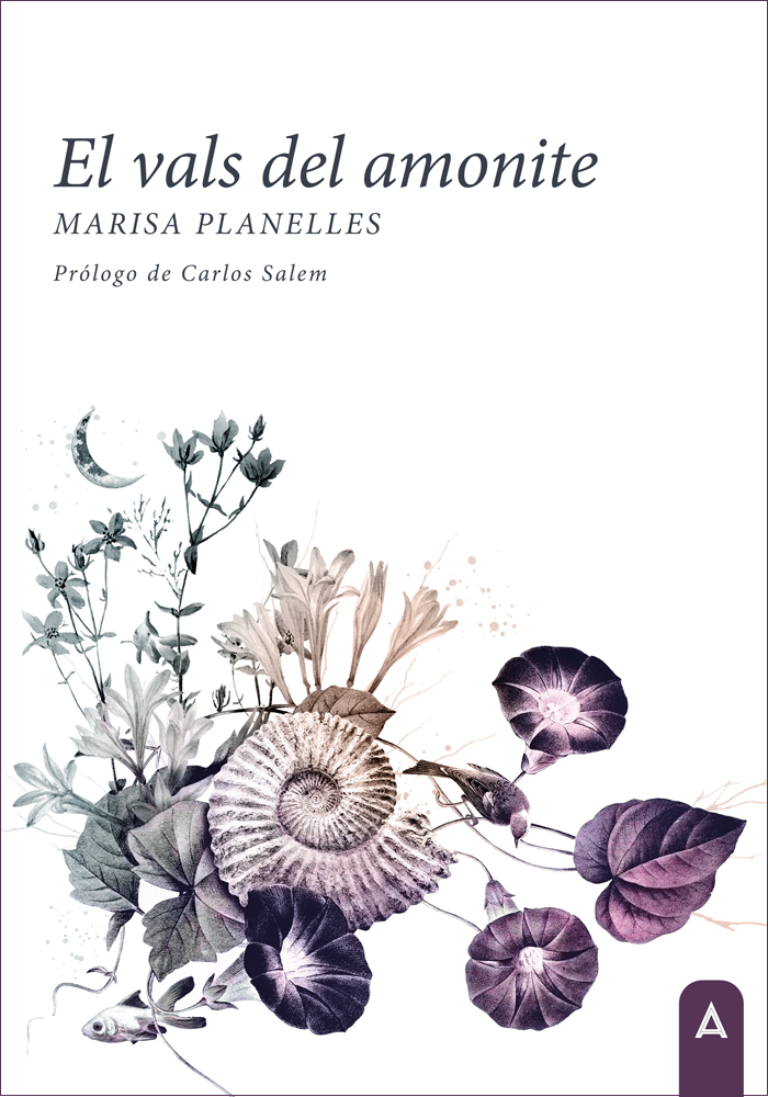 El erotismo de mis sueños