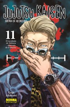 JUJUTSU KAISEN 17