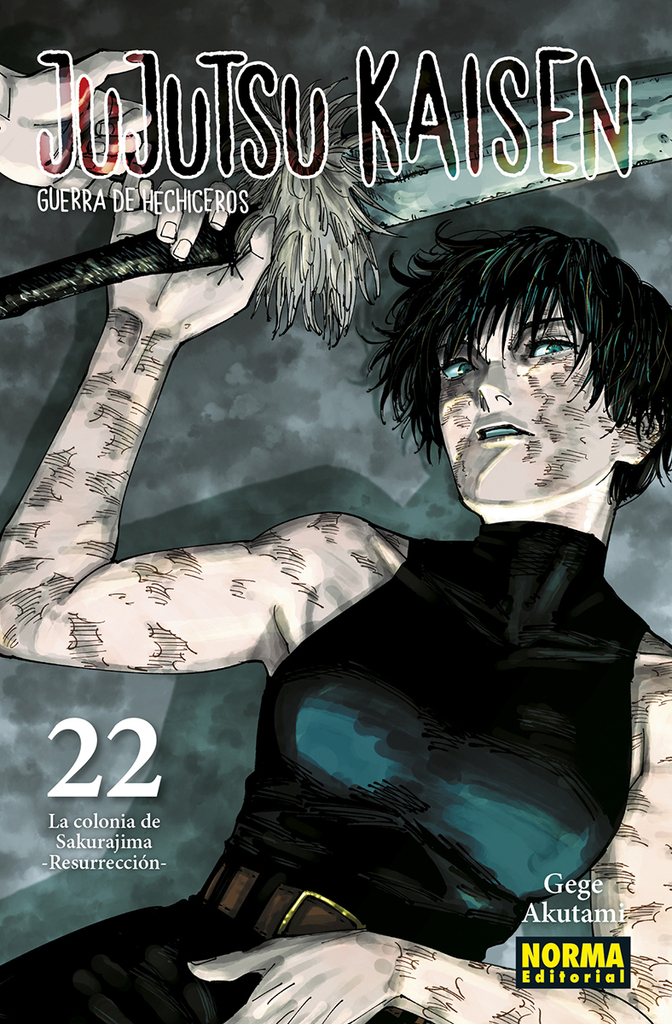 JUJUTSU KAISEN 22 JUJUTSU KAISEN 22