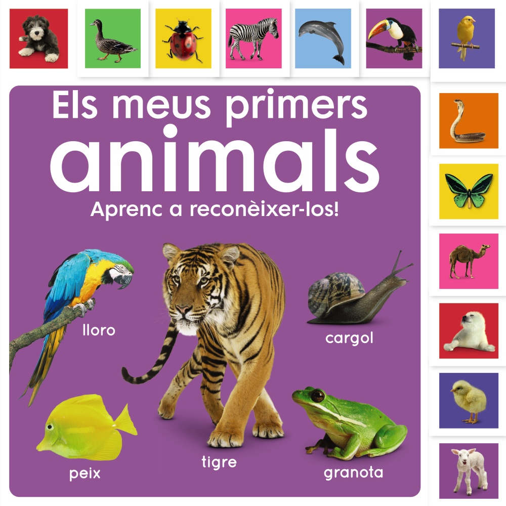 Endevina! Quin dinosaure sóc?