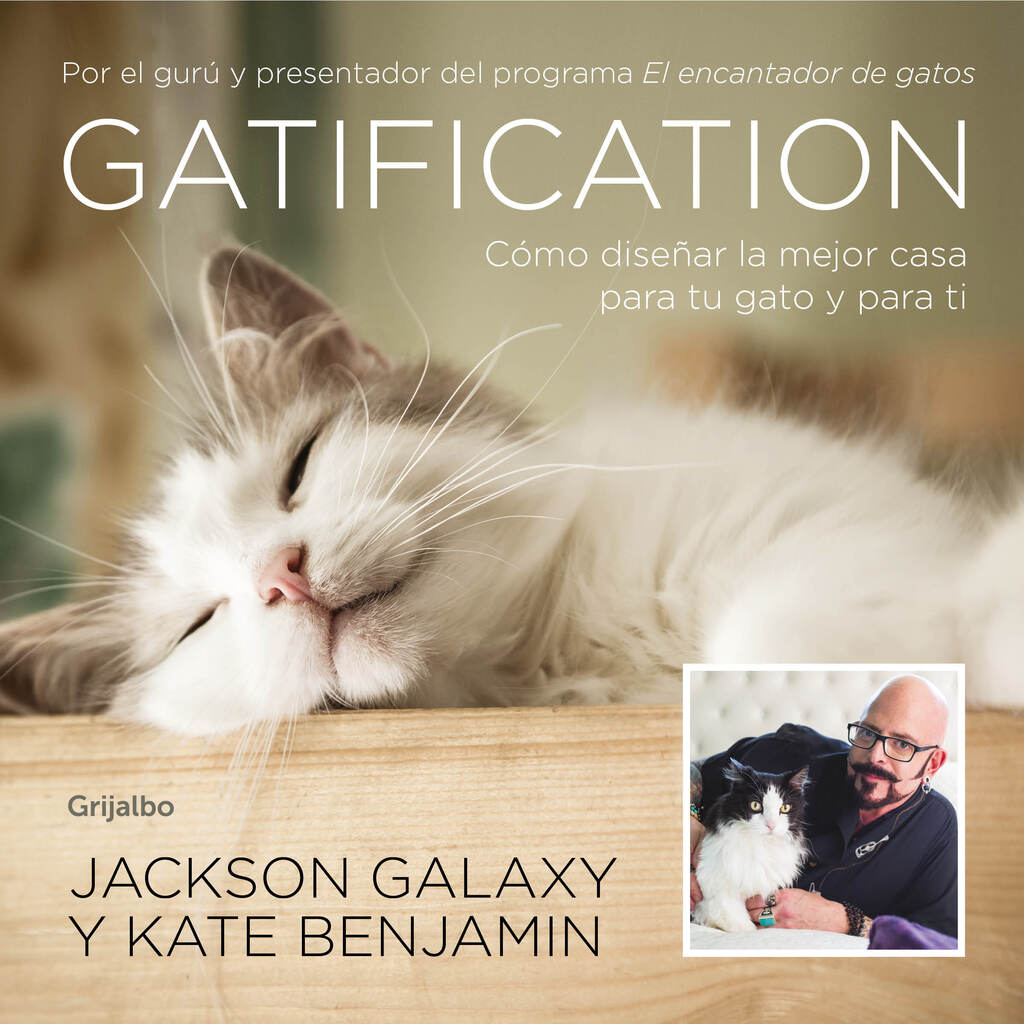 Gatification Gatification