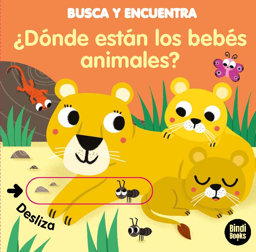 ¿Quién vive en la jungla?
