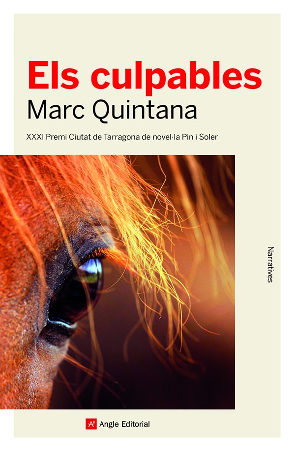 El llibre de l'estiu