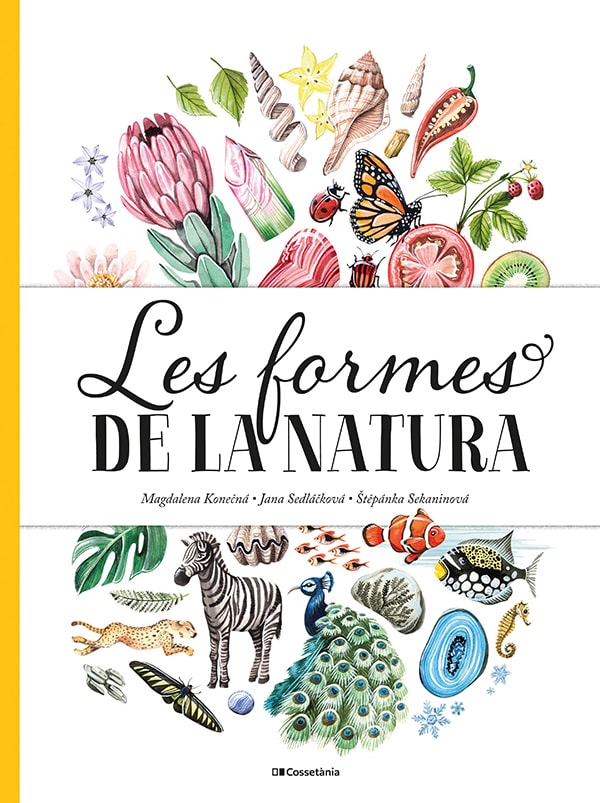La vida secreta dels arbres