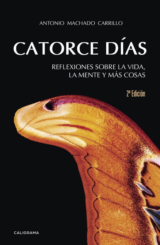El Concilio de Elvira