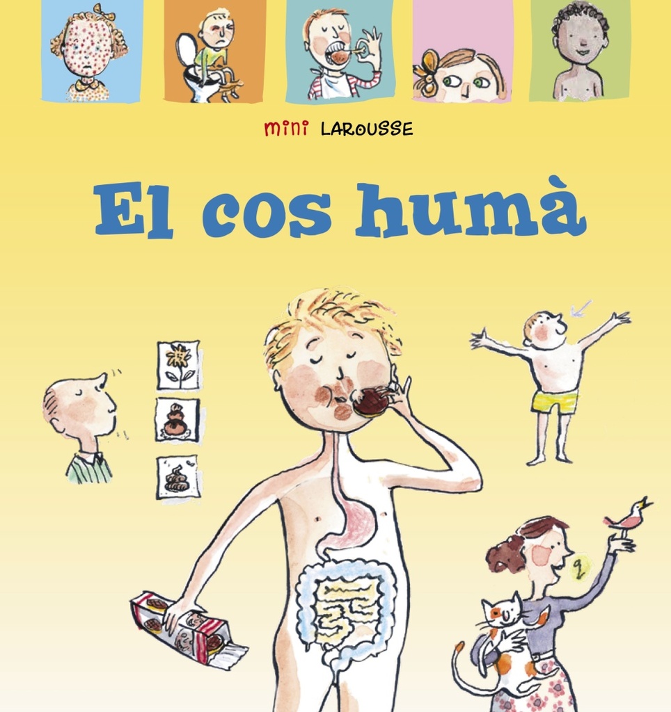 L´Univers