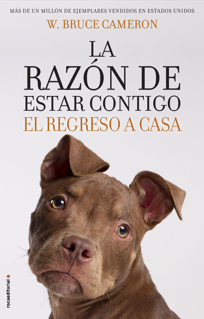 Cómo hacer el perro
