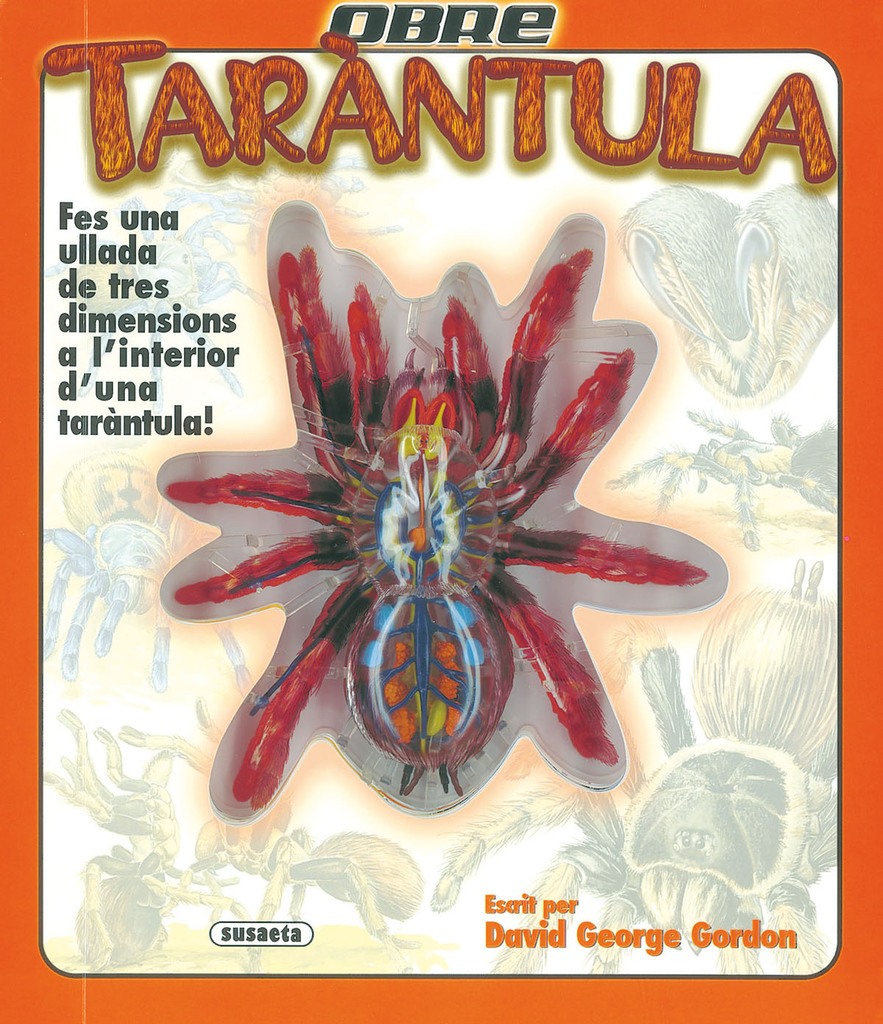 La sorpresa del Pare Noel