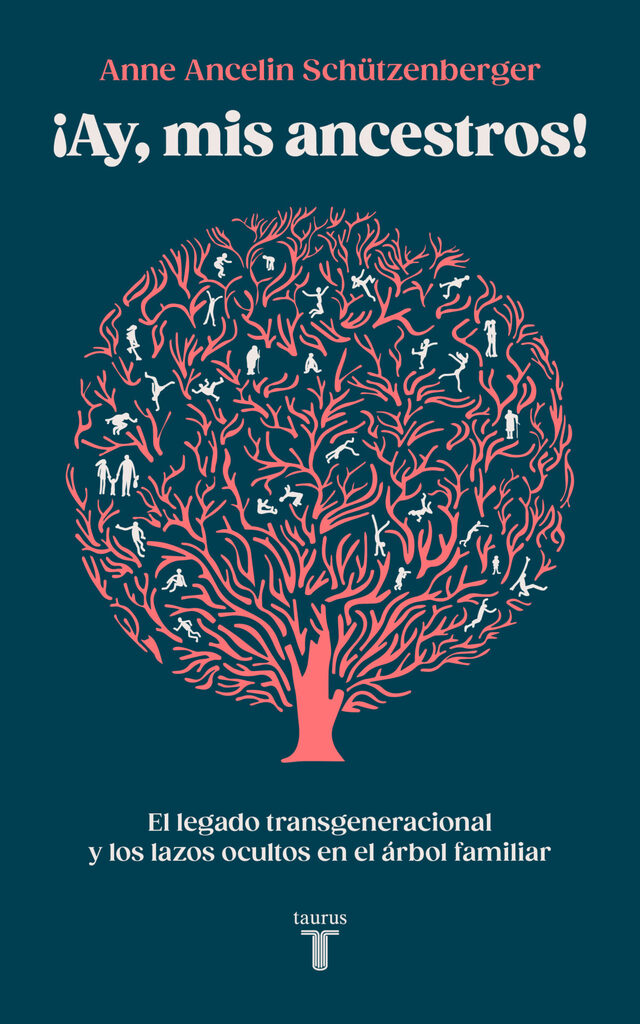 Miradas sobre la desigualdad