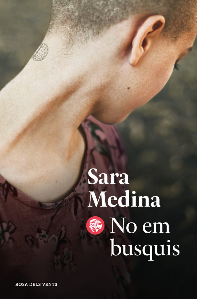 L'estrella de l'Illa Nord