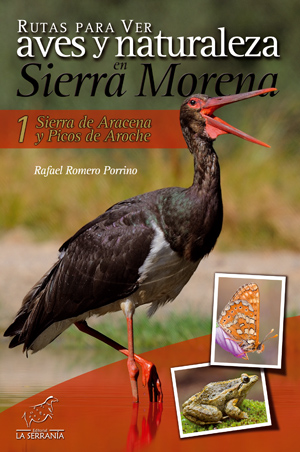 Rutas para ver aves y naturaleza en Sierra Morena