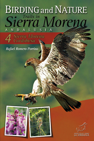 Birding and nature trails in Sierra Morena, Andalusia