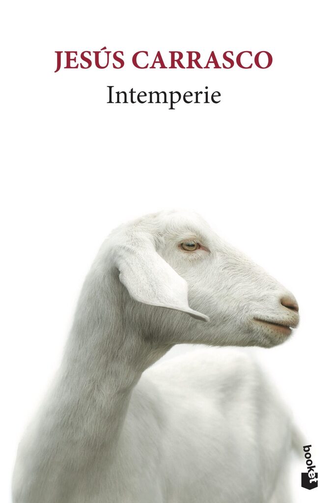 Libro de familia