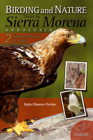 Birding and nature trails in Sierra Morena Andalusia