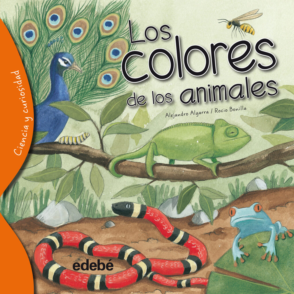 MÁS QUE UN ABCDARIO: OBSERVA, JUEGA, LEE, APRENDE