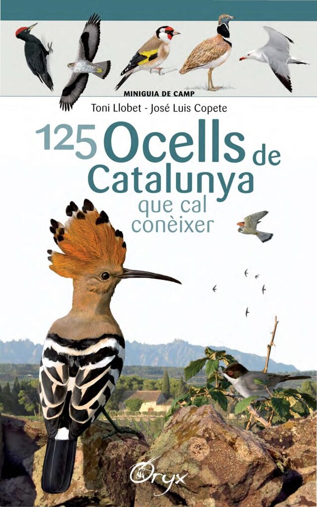 Guia de rapinyaires de Catalunya
