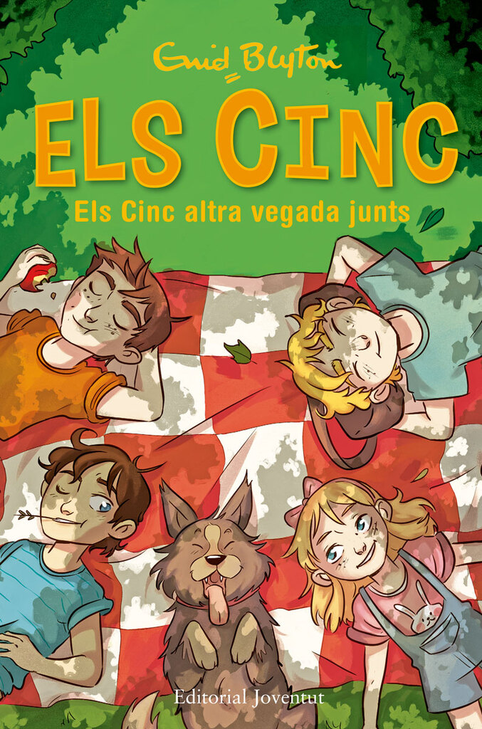 Els Cinc han de resoldre un enigma
