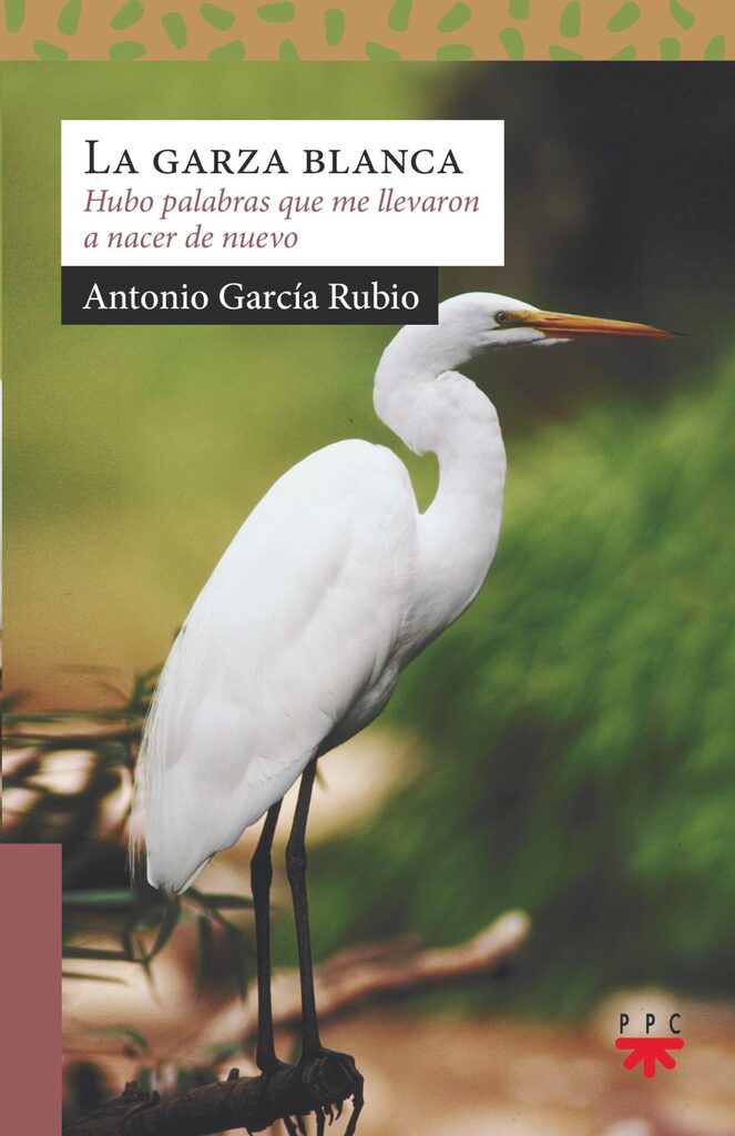 La sanación de las heridas interiores