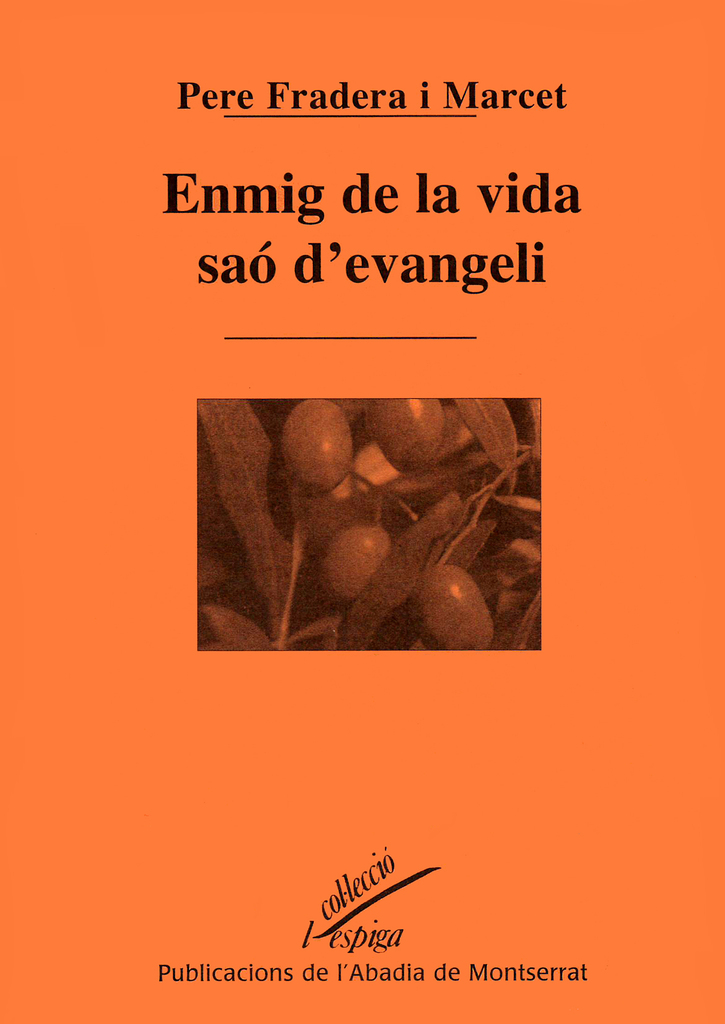 Enmig de la vida saó d'evangeli