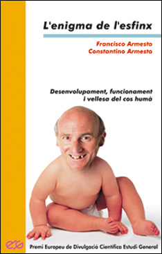 Els valors de la Punta