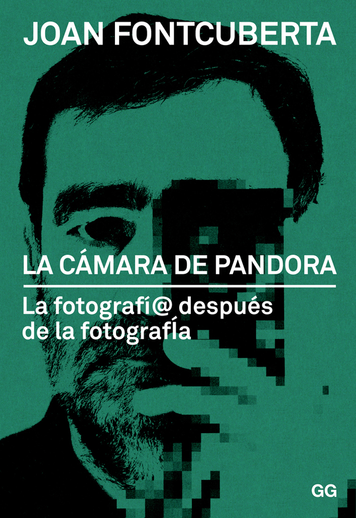 Ver es un todo
