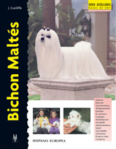 Bichon Maltés Bichon Maltés