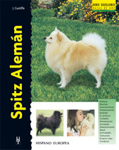 Spitz Alemán Spitz Alemán