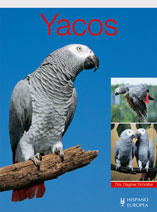 Agapornis