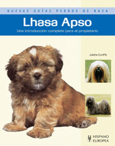 Lhasa Apso Lhasa Apso