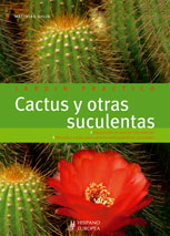 Zonas de descanso (Jardín: ideas & recetas)