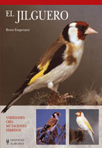 El canario isabela