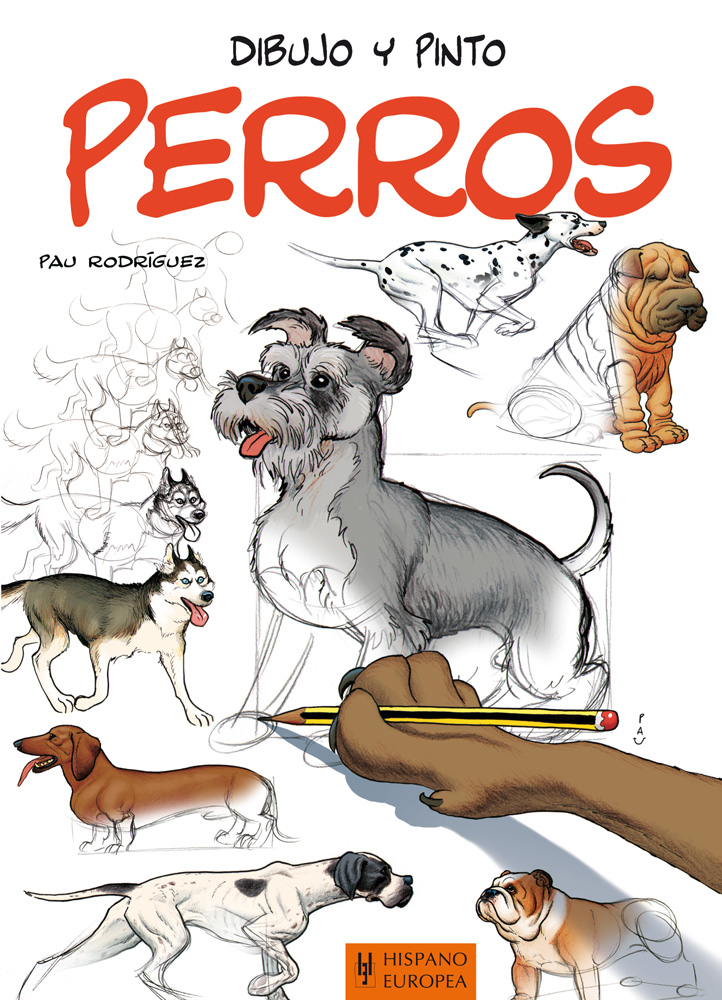 Dibujo y pinto animales marinos