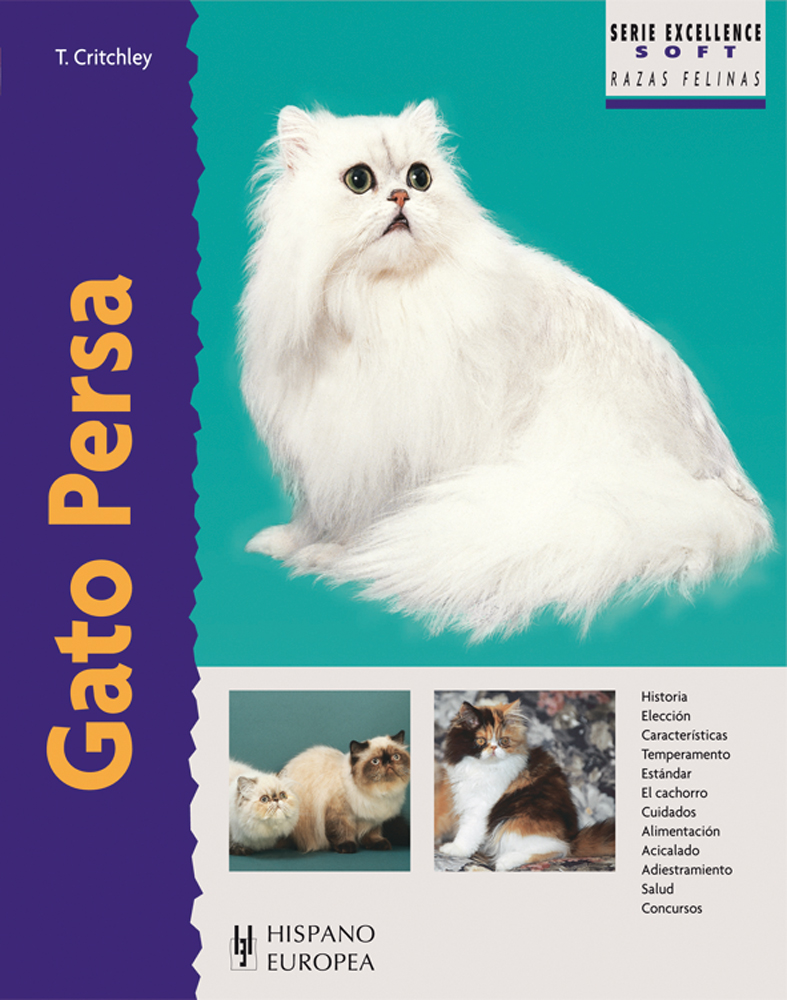 Gato persa