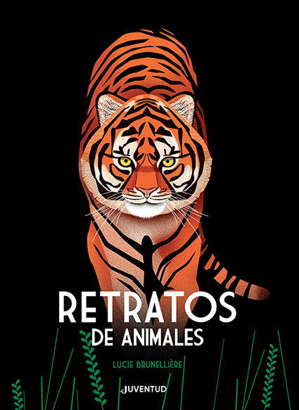 Números escondidos