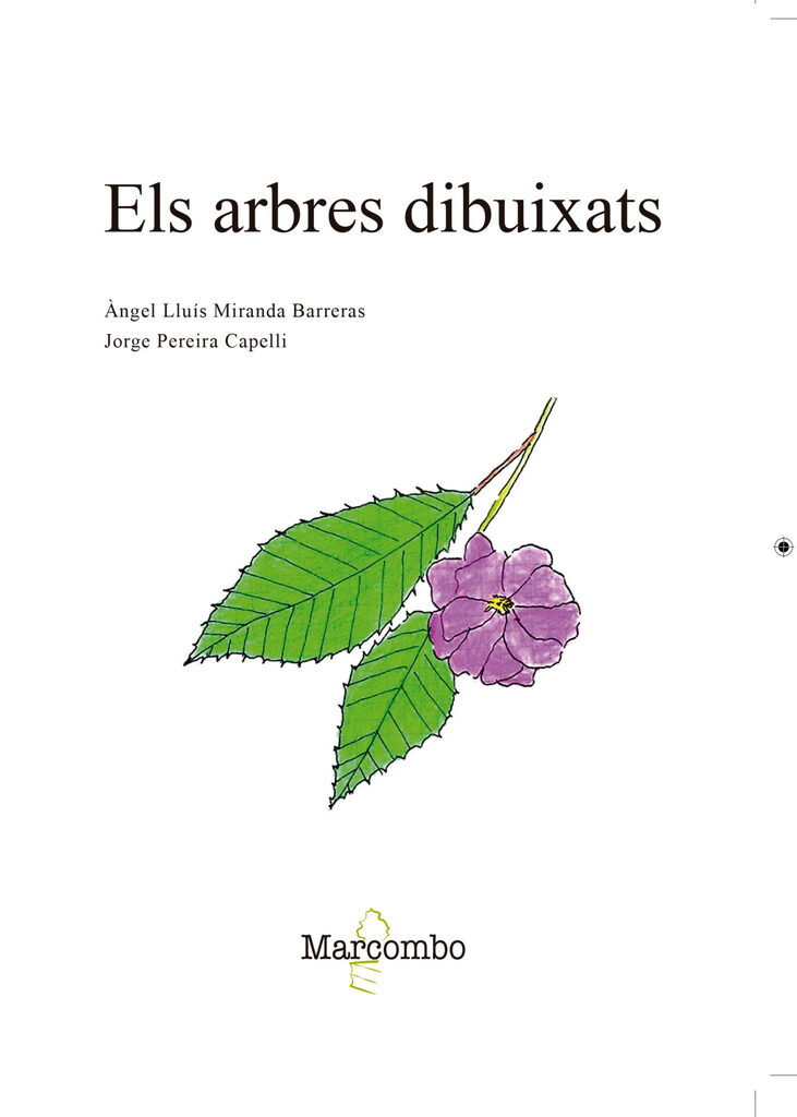Cultura y desarrollo en el medio rural
