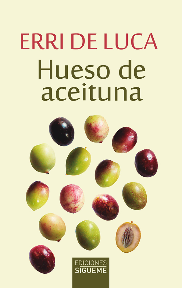 Hueso de aceituna Hueso de aceituna