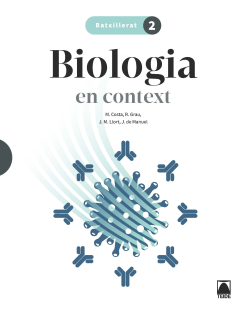Ortografía 1º ESO. Lengua castellana
