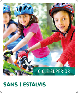 Diccionari bàsic de la llengua catalana