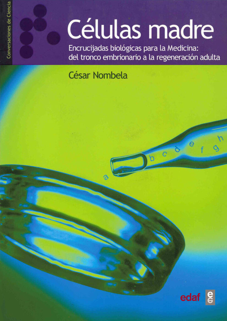 Células madre