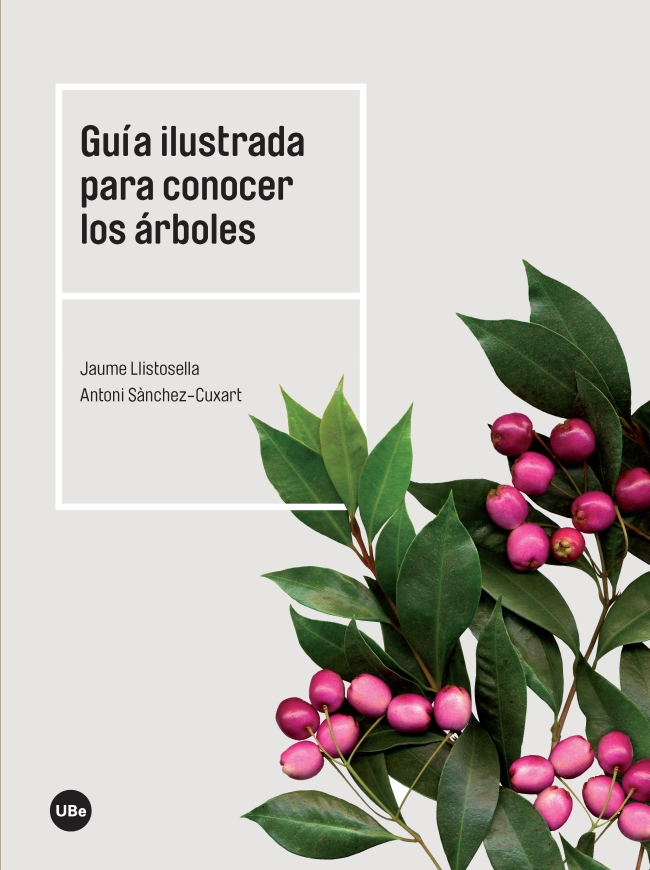El herbario: matas, hierbas y helechos
