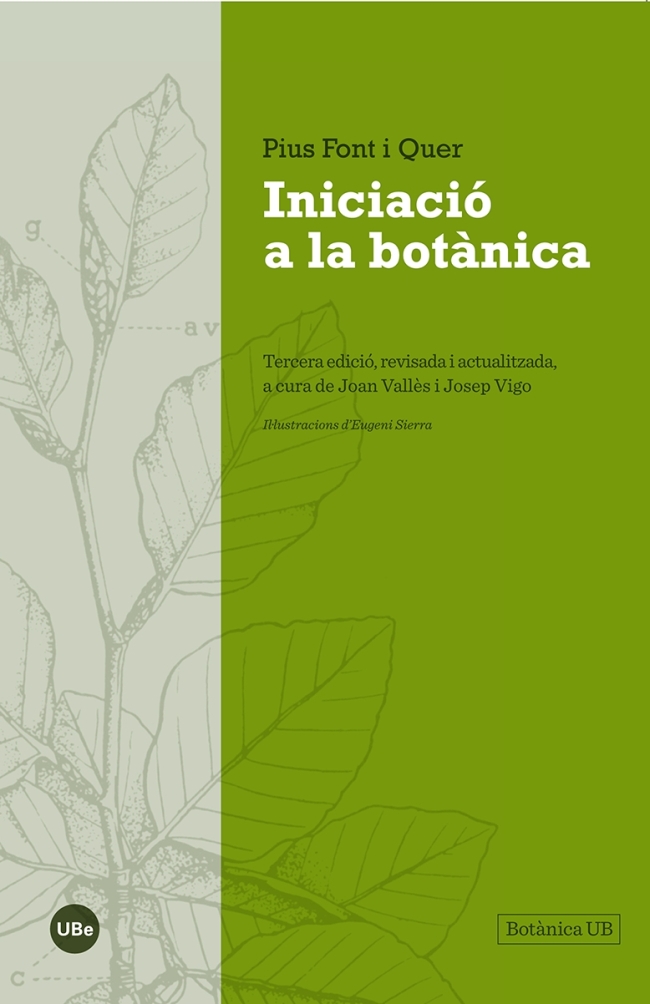 Guía ilustrada para conocer los árboles