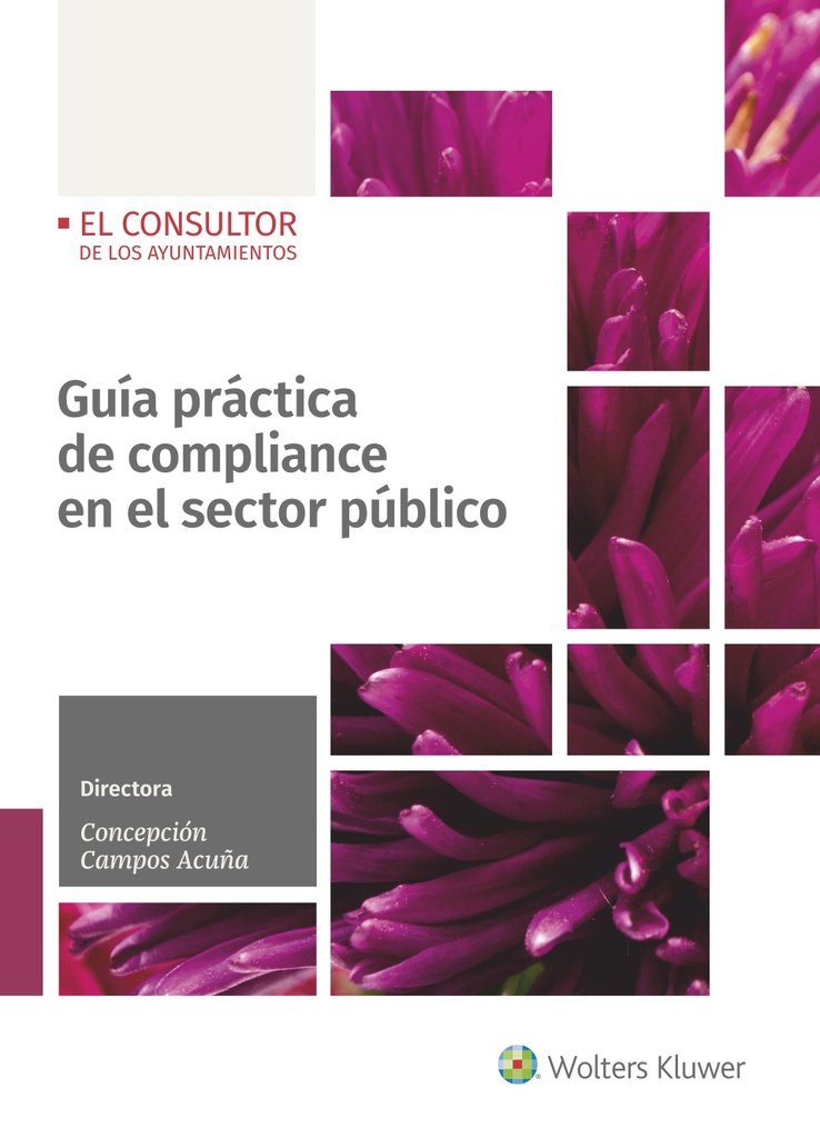 Derecho urbanístico (9.ª Edición)