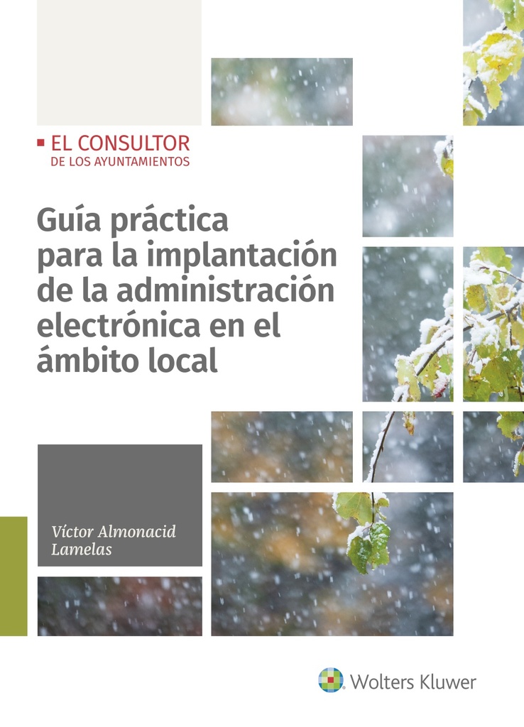 La ejecución de sentencias en los procesos contencioso-selectivos