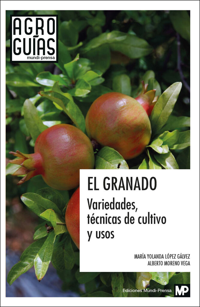 Cultivo moderno del tomate