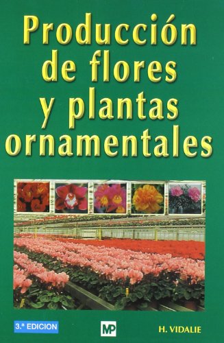 Verbos españoles conjugados