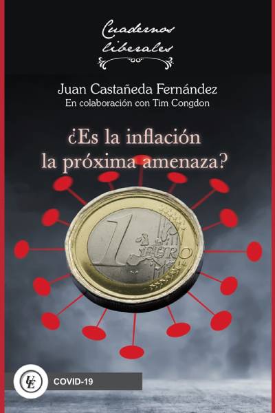 DESMONTANDO EL FEMINISMO HEGEMÓNICO