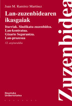 Lan-Zuzenbidearen ikasgaiak