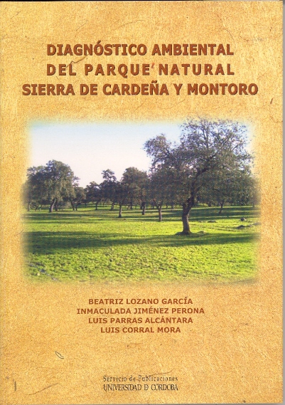 Contaminación lumínica