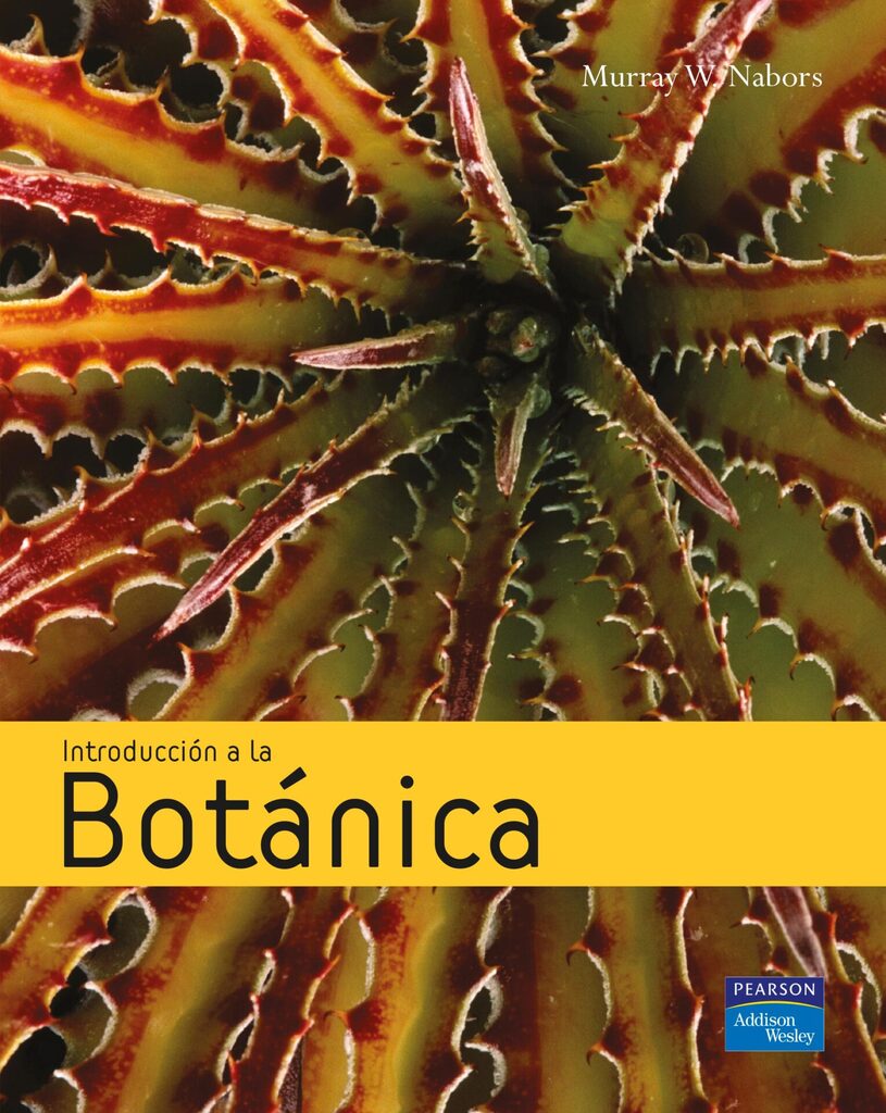 QUÍMICA 2