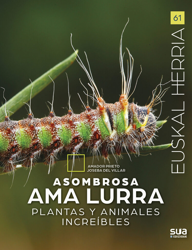 Asombrosa Ama Lurra